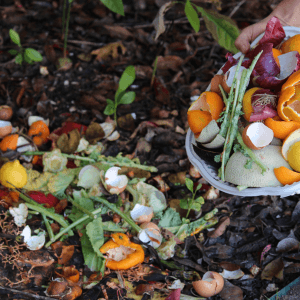 tecniche compost