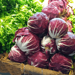 Coltivazione radicchio