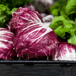 Orto radicchio