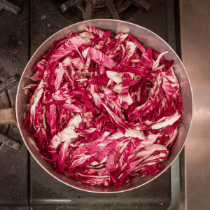 Tecniche coltivazione radicchio