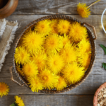 Tarassaco fertilizzante naturale