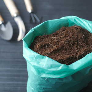 Alternative ecologiche alla torba
