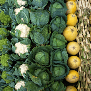 Coltivare sano è possibile costanza, osservazione e natura