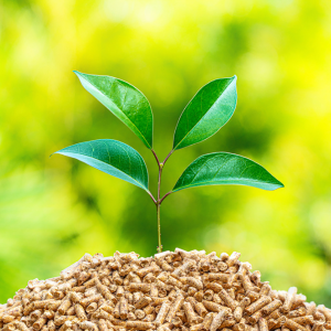 Cos'è davvero l’Humus Pellet