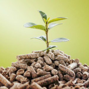 FAQ – Domande frequenti sull’Humus Pellet