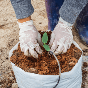 I benefici concreti cosa fa davvero la torba per il terreno