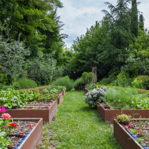 L’esperienza dell’agricoltore consigli pratici