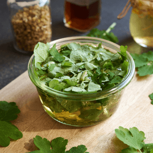 Macerati e decotti vegetali