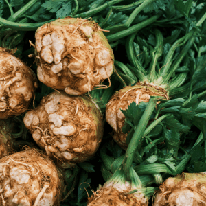 Preparare il terreno come farlo respirare e nutrirlo
