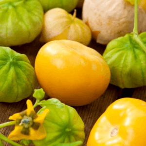 pianta tomatillo frutto calice