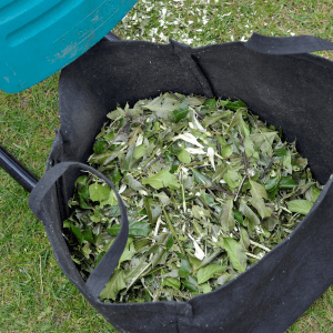 FAQ – Tutto quello che mi chiedono (e rispondo volentieri) sul biotrituratore
