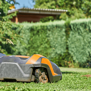 I momenti ideali per usare il robot nell’orto