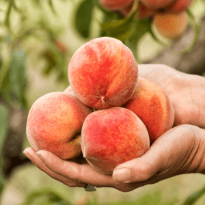 Prevenzione naturale come alleata silenziosa