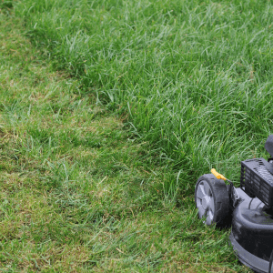 Requisiti fondamentali per installare il robot nell’orto