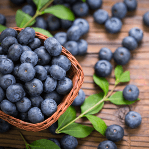 Come Coltivare il Mirtillo Americano nel Tuo Orto: Guida Completa