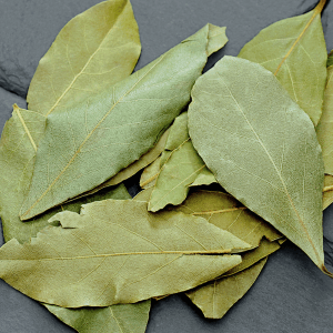 Coltivare l’Alloro: Potatura, Drenaggio e Segreti Antichi