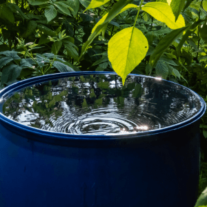 Sistema di Raccolta dell’Acqua Piovana per l’Irrigazione Sostenibile